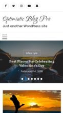 Optimistic Blog Pro (screenshot mobile)
