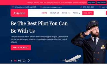 Aviation Industry Pro (screenshot desktop)