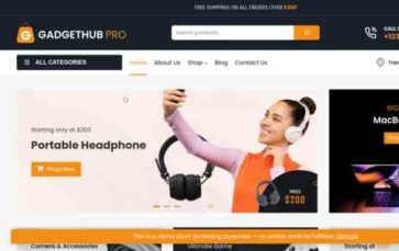 Gadgethub Pro (screenshot desktop)