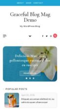 Graceful Blog Mag Pro (screenshot mobile)
