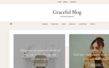 Graceful Blog Pro (screenshot desktop)
