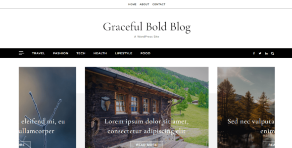 Graceful Bold Blog (Optima Themes)