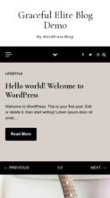 Graceful Elite Blog (screenshot mobile)