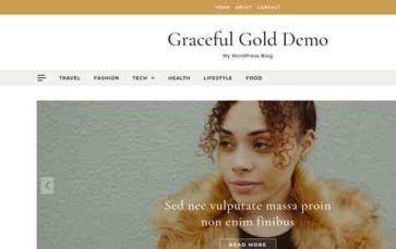 Graceful Gold Blog Pro (screenshot desktop)