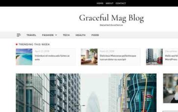 Graceful Mag Blog Pro (screenshot desktop)