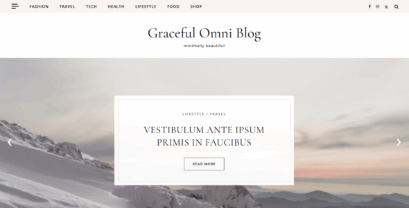 Graceful Omni Blog Pro (Optima Themes)
