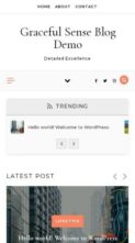 Graceful Sense Blog (screenshot mobile)