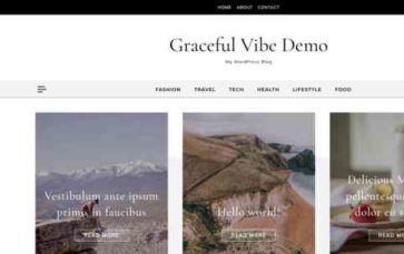 Graceful Vibe (screenshot desktop)