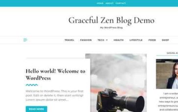 Graceful Zen Blog (screenshot desktop)