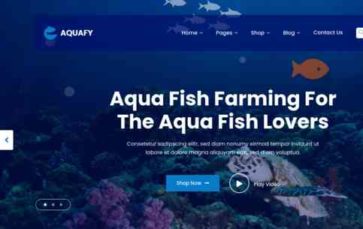 Aquafy (screenshot desktop)