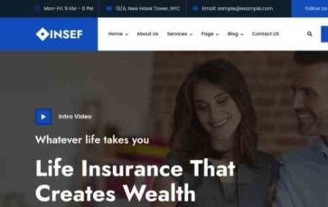 Insef (screenshot desktop)