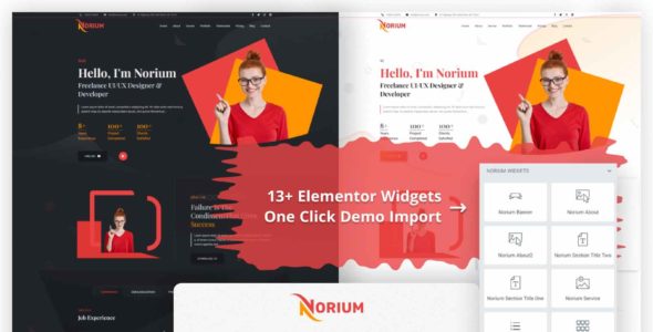 NoriumPortfolio Pro (Ordain IT)