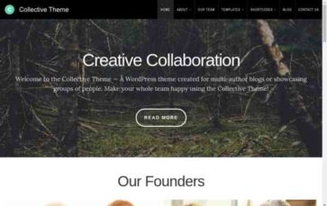 Organic Collective (screenshot desktop)