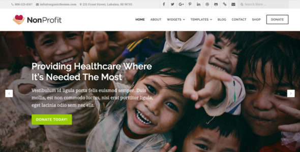 Organic NonProfit (Organic Themes)
