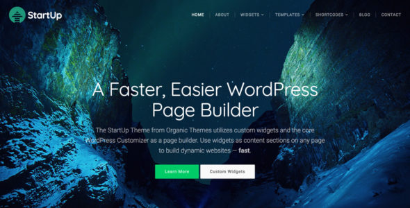 Organic StartUp (Organic Themes)