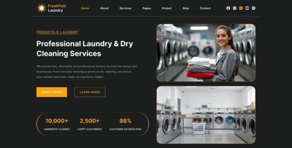 Laundry Cleaning Pro (Ovation Themes)