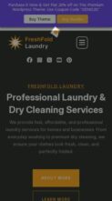 Laundry Cleaning Pro (screenshot mobile)