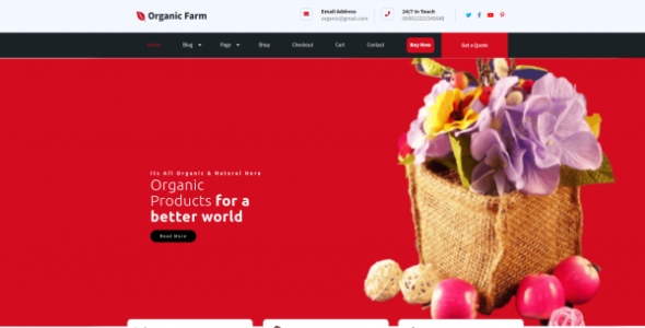 Organic Grocery Pro (Ovation Themes)