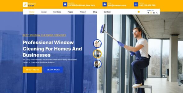 Window Cleaning Pro (Ovation Themes)