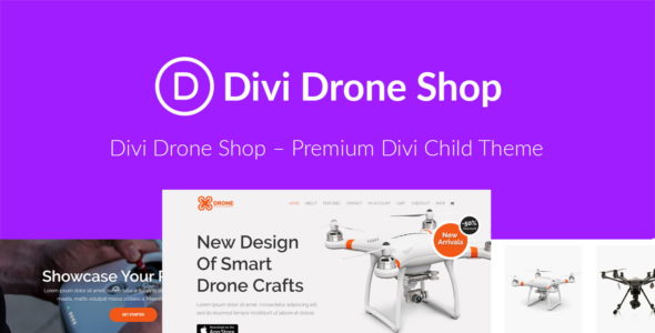 Divi Drone Shop (Paper Temple)
