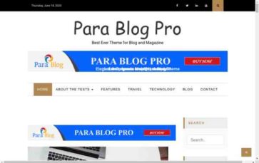 Para Blog Pro (screenshot desktop)