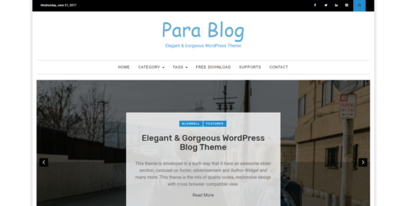 Para Blog (Paragon Themes)