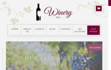 Divi Winery (screenshot desktop)