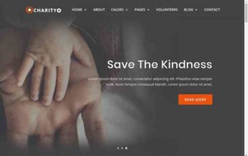 Charitypluz (screenshot desktop)