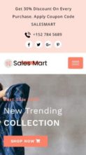 Salesmart (screenshot mobile)