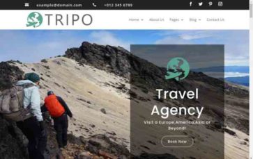 Tripo for Divi (screenshot desktop)