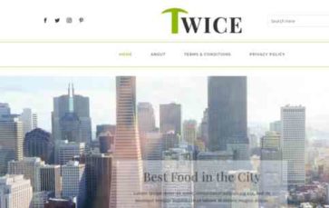 Twice for Divi (screenshot desktop)