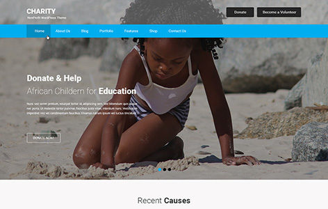 Charity (Pinnacle Themes)