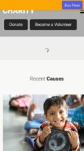 Charity (Pinnacle Themes) (screenshot mobile)