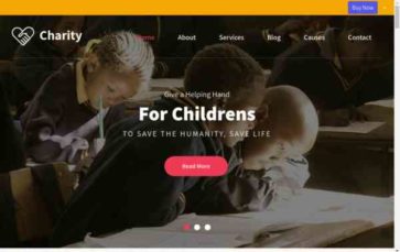 Charity Pro (Pinnacle Themes) (screenshot desktop)