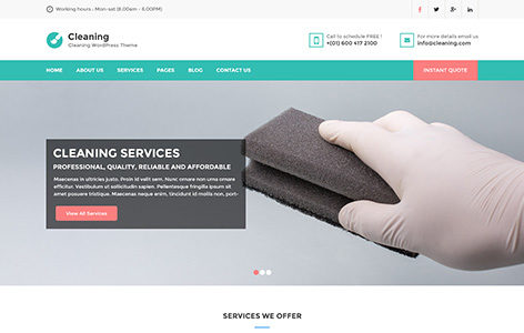 Cleaning (Pinnacle Themes)