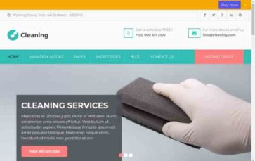 Cleaning (Pinnacle Themes) - (screenshot desktop)
