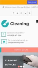 Cleaning (Pinnacle Themes) - (screenshot mobile)