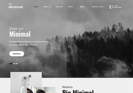 Pin Minimal Pro (Pinnacle Themes)