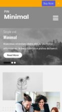 Pin Minimal Pro (screenshot mobile)
