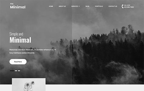 Pin Minimal (Pinnacle Themes)