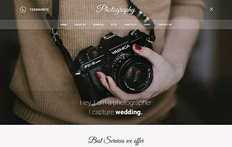 Portfolio (Pinnacle Themes)