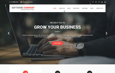 Software Company (Pinnacle Themes)