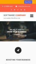 Software Company (Pinnacle Themes) - (screenshot mobile)