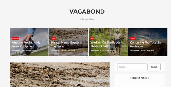 Vagabond (Pixel Tribe)