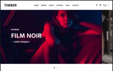 Screenshot Desktop Timber (Pixelgrade) - (screenshot desktop)