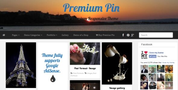 Premium Pin (PR WordPress Themes)
