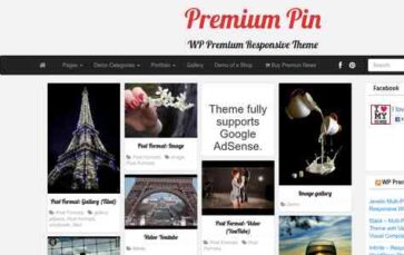 Premium Pin (screenshot desktop)