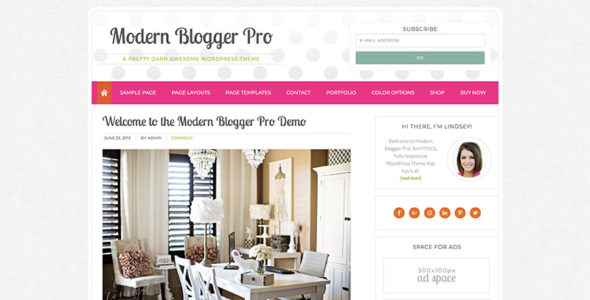 Modern Blogger Pro (Pretty Darn Cute Design)