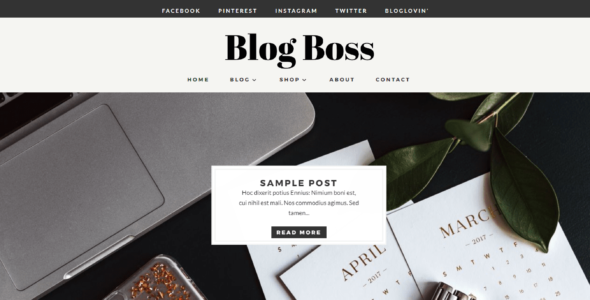 Blog Boss (Pretty Web Design)