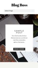 Blog Boss (screenshot mobile)
